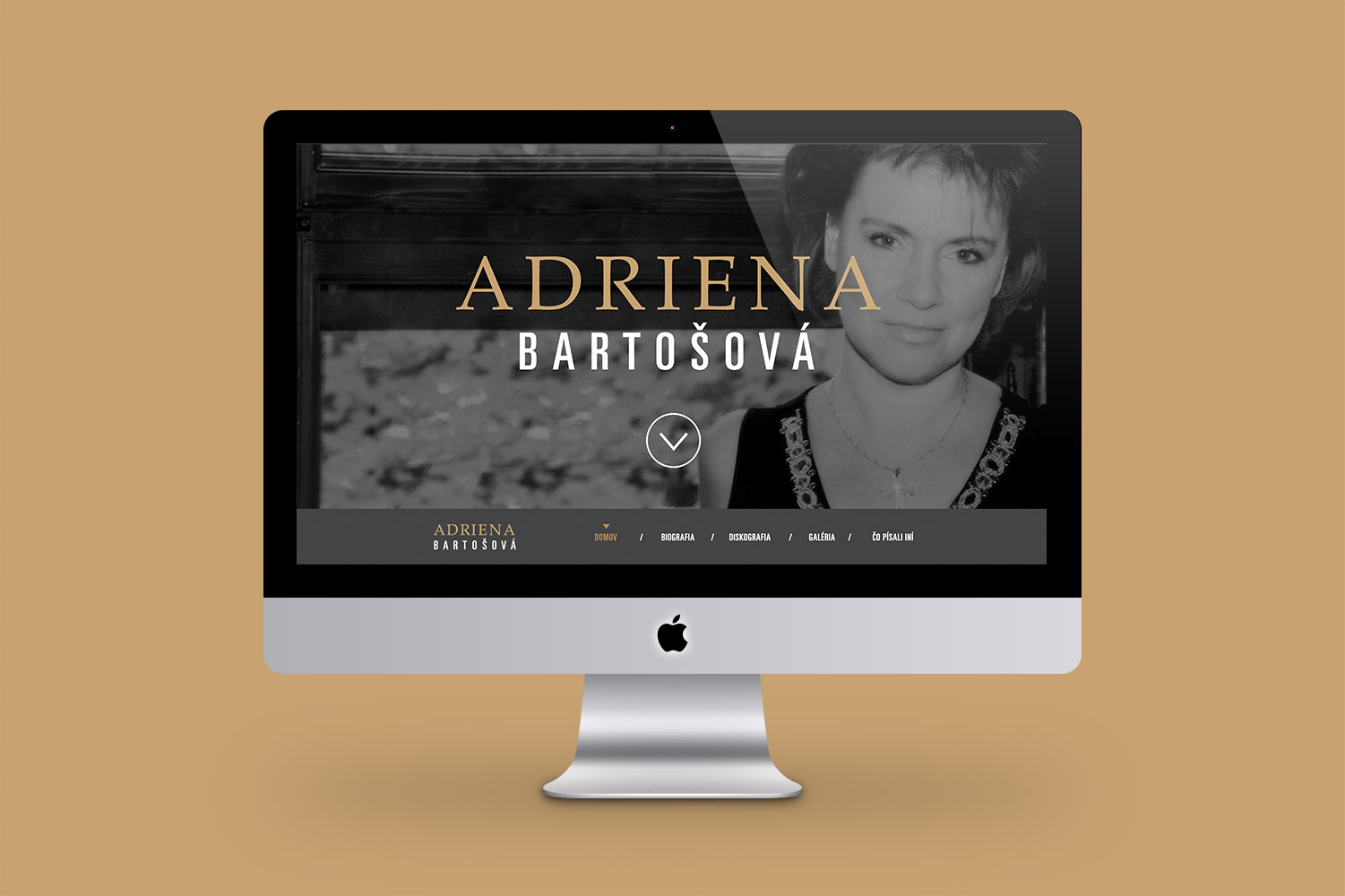 Adrienka, web design image