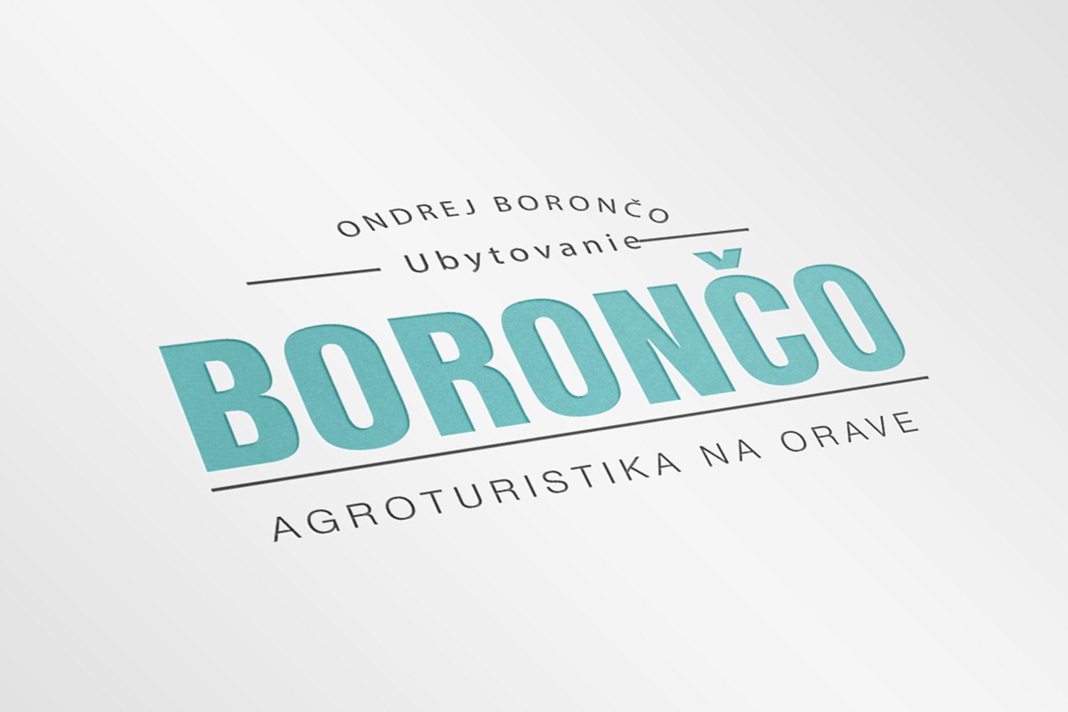 Boronco, logo & web design image